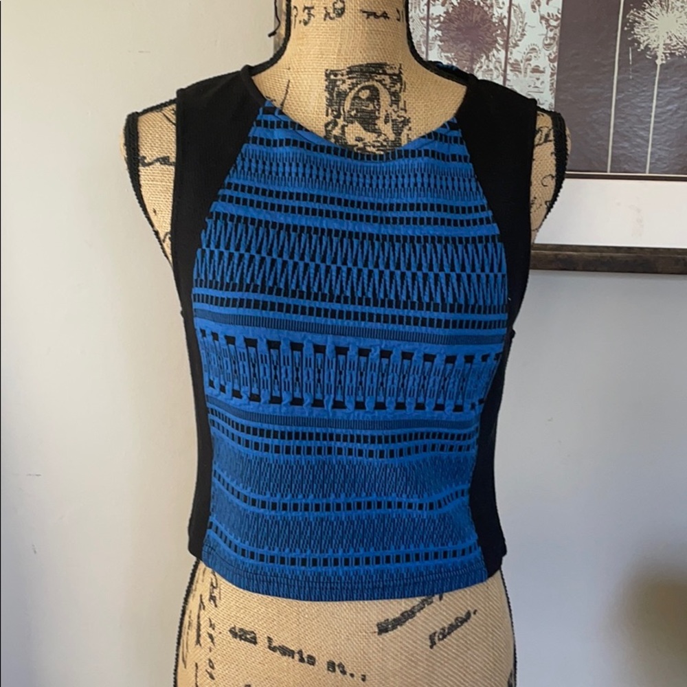 Sanctuary NWT crop top